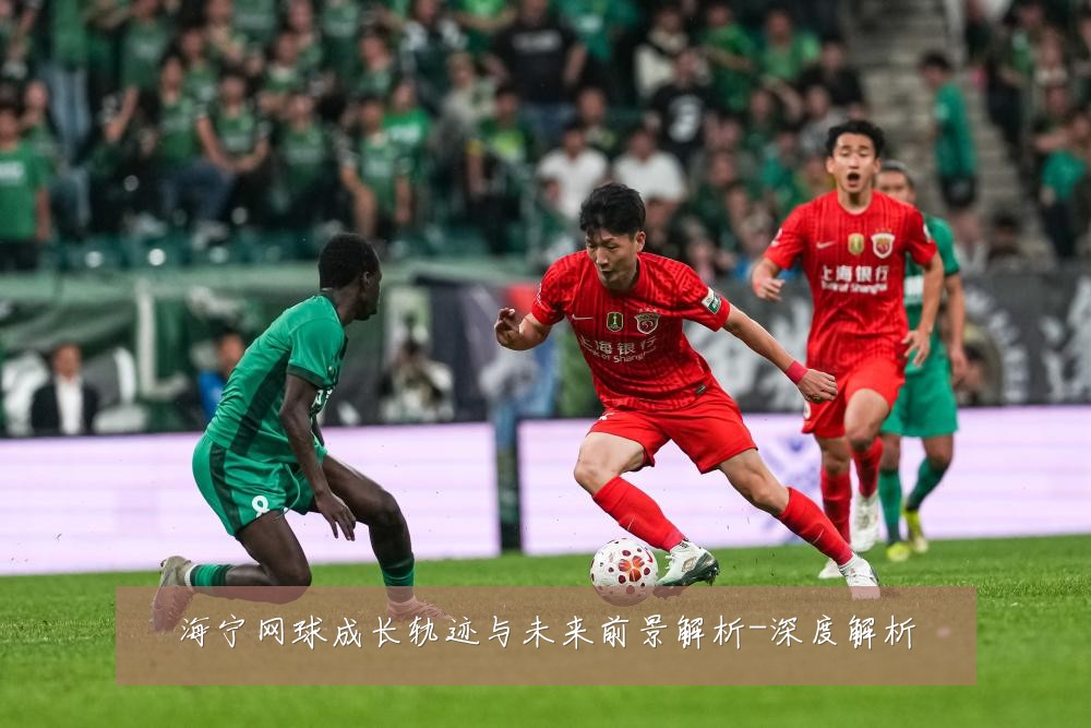 海宁网球成长轨迹与未来前景解析-深度解析